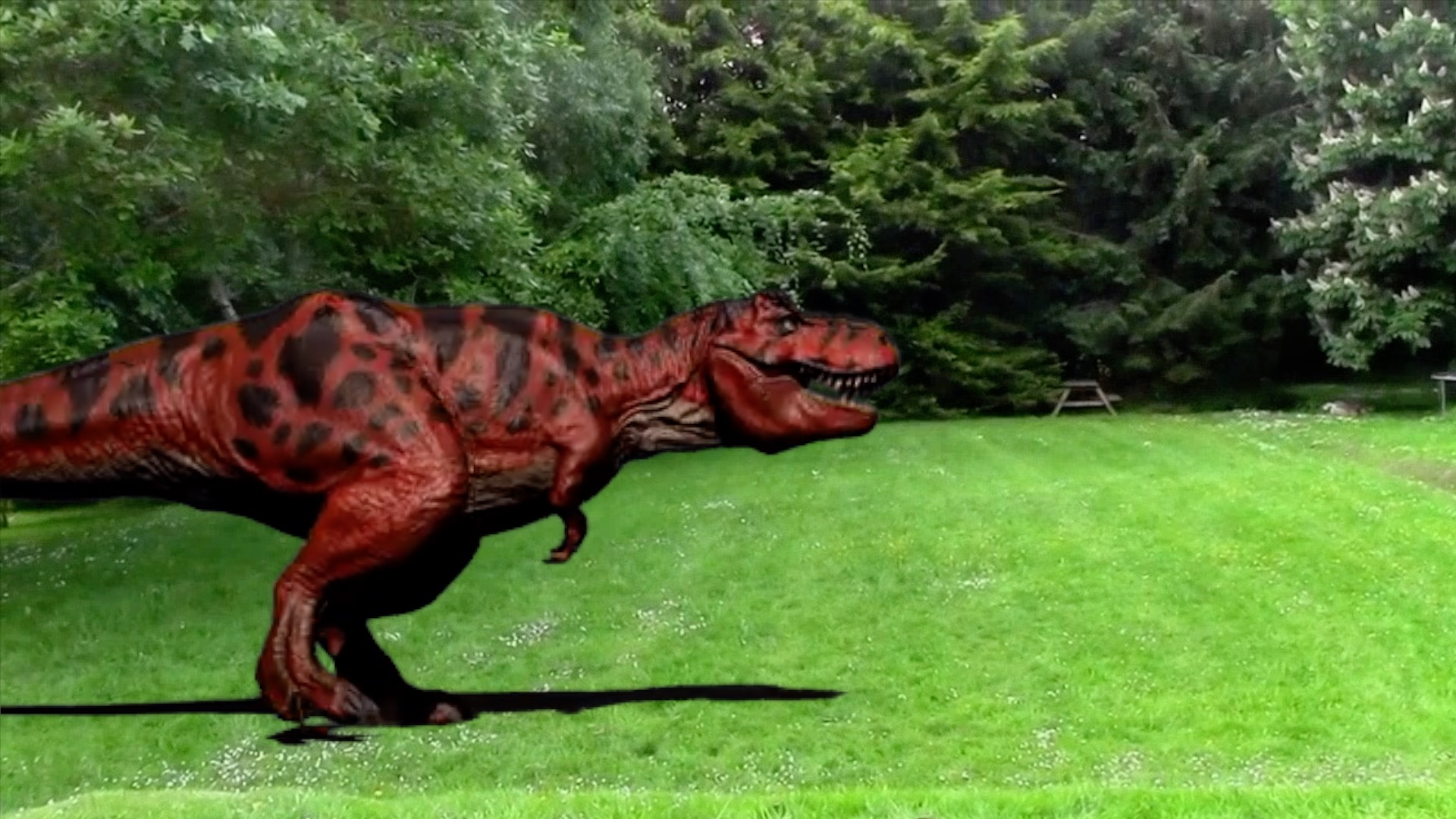 dino